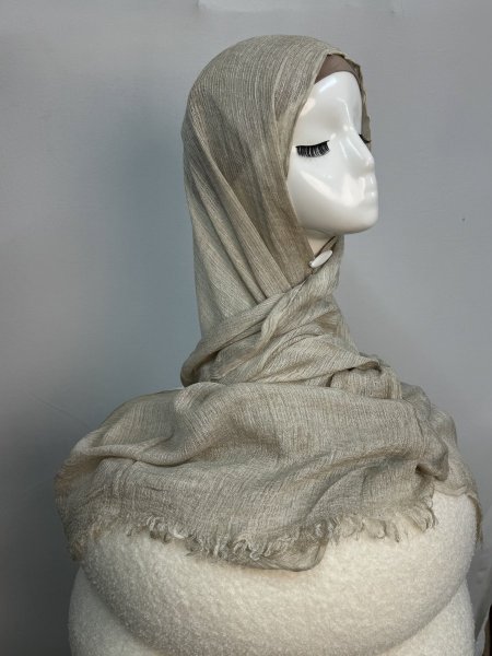 تايلندي مانجو 🥭